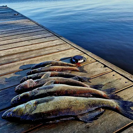 Huvilarannalla 카야니