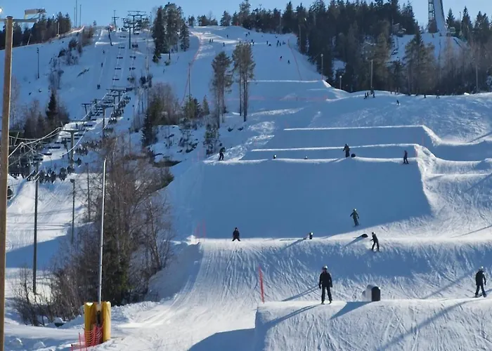 Huvilarannalla 卡亚尼