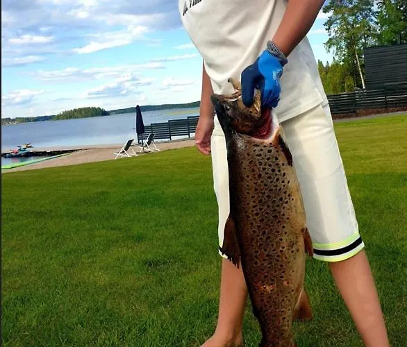 别墅 Huvilarannalla 卡亚尼