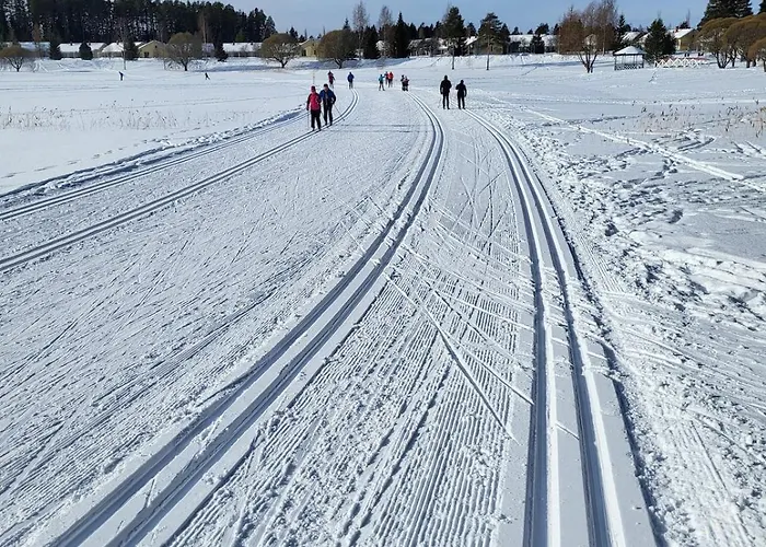 别墅 Huvilarannalla *