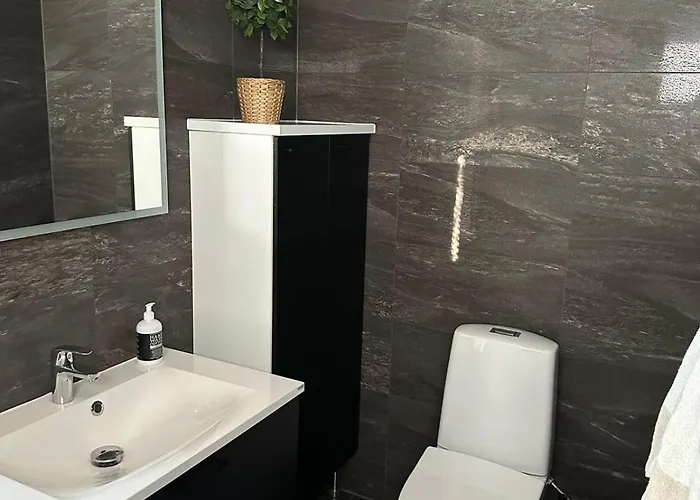 Huvilarannalla 别墅 *