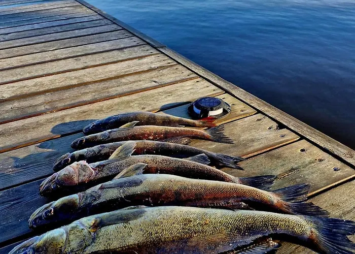 Huvilarannalla 卡亚尼